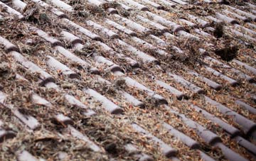 North Thoresby roof cleaning companies